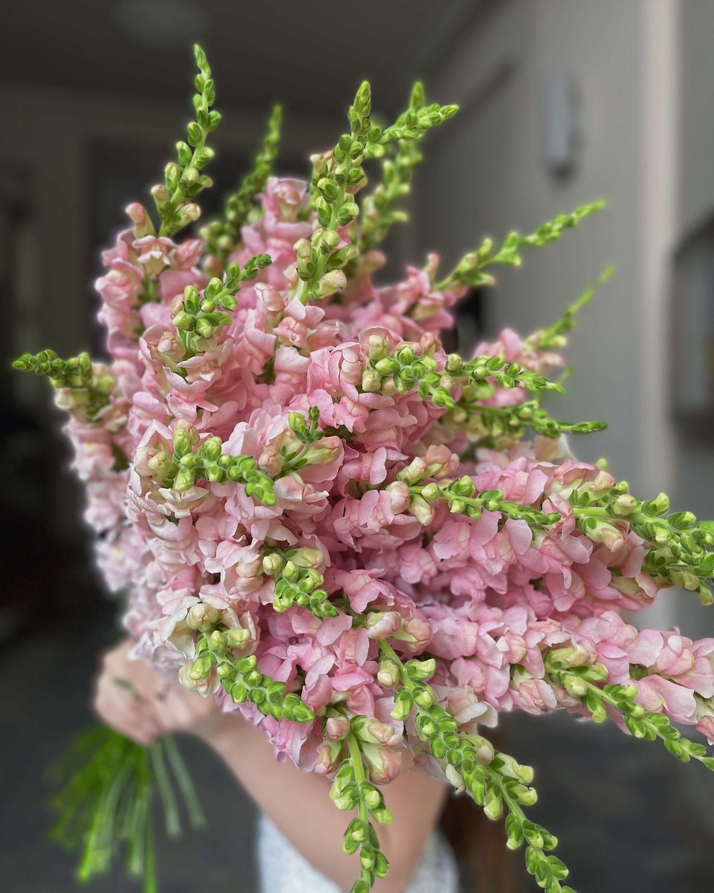 Garden Memory - Bukieciarnia Mokotowska 41