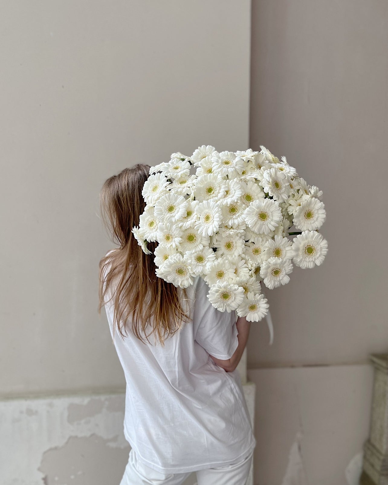 Gerbera - Bukieciarnia Mokotowska 41