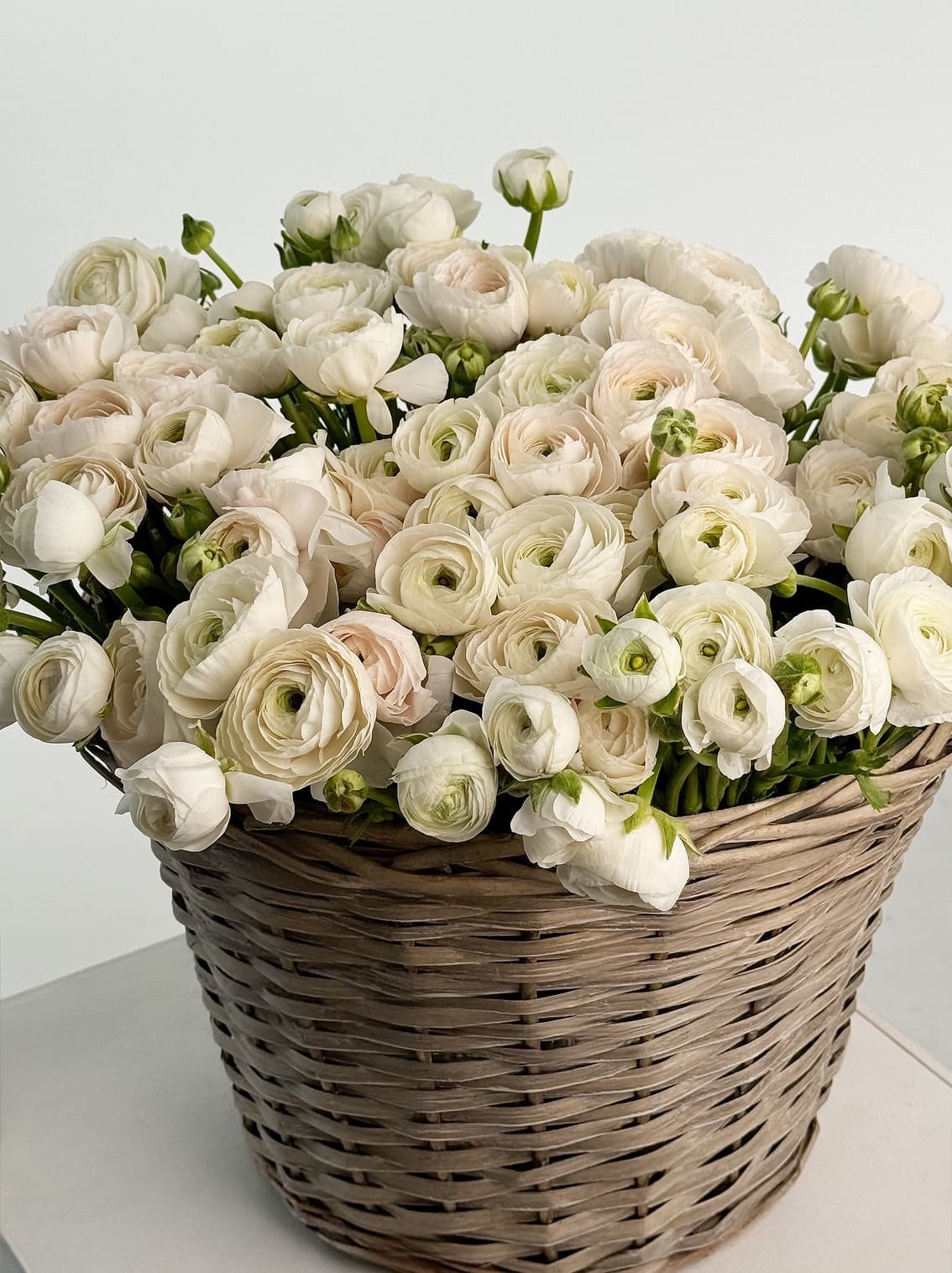 Idylle - Bukieciarnia Mokotowska 41