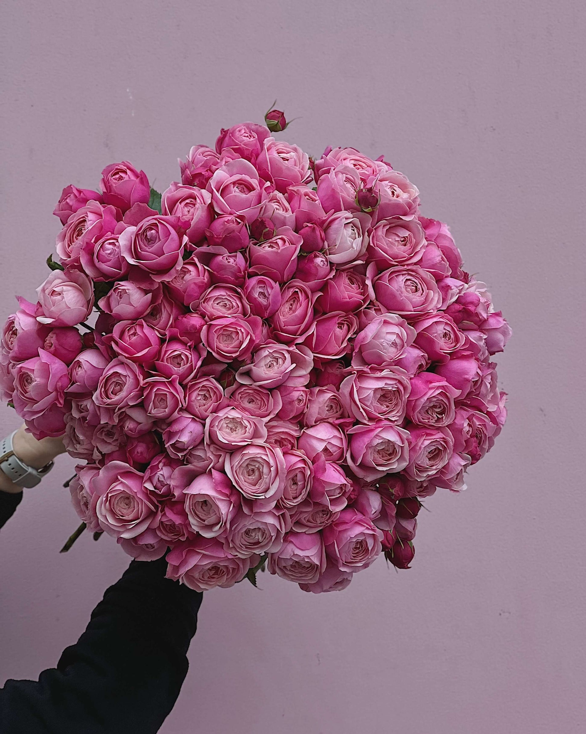 Heart’s Desire