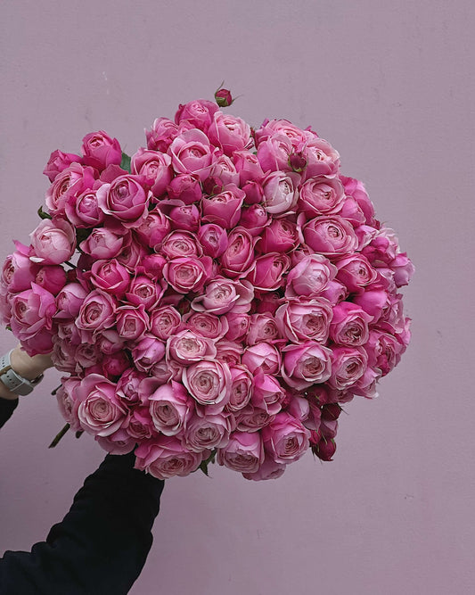 Heart’s Desire
