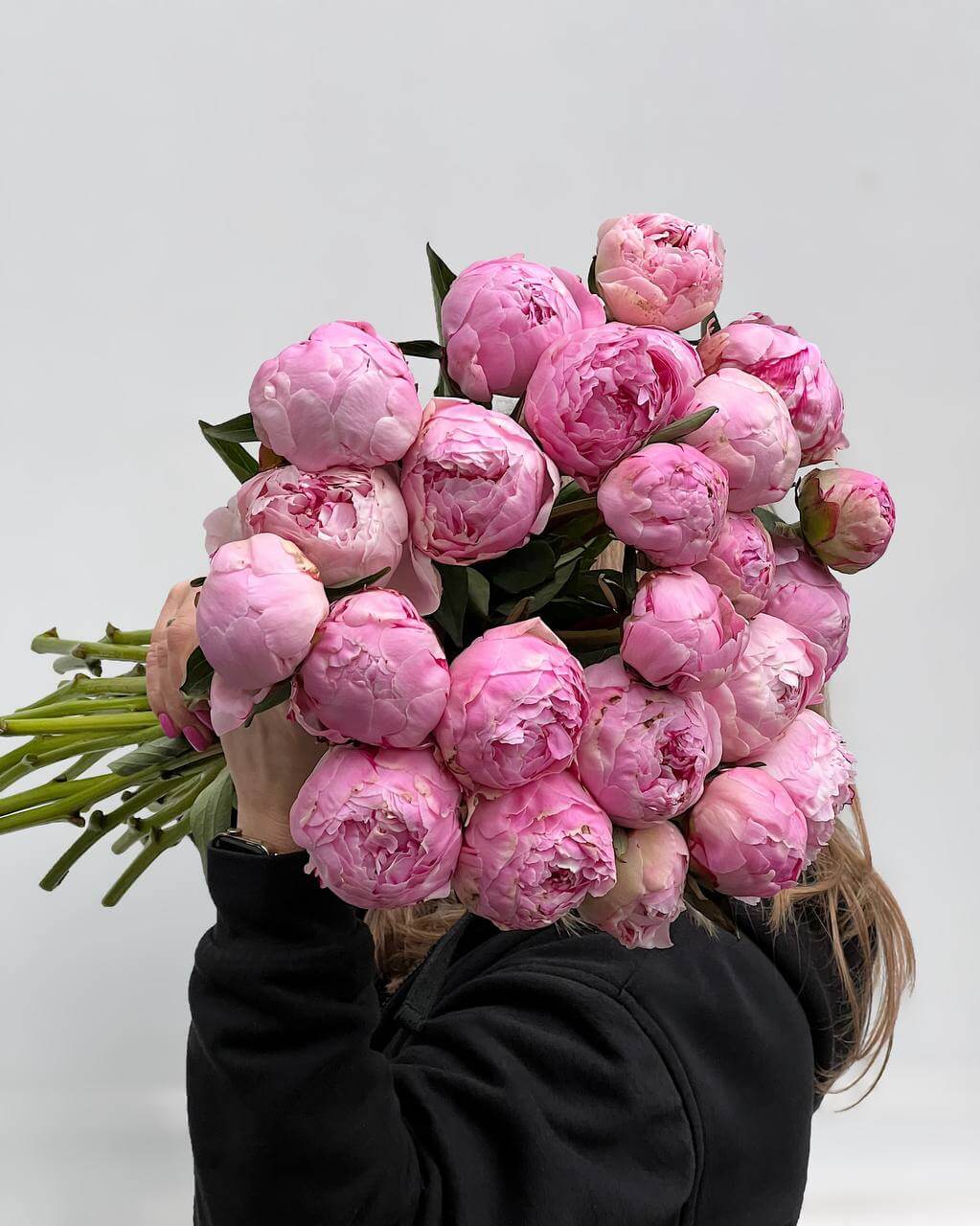 Peonie Sarah Bernhardt