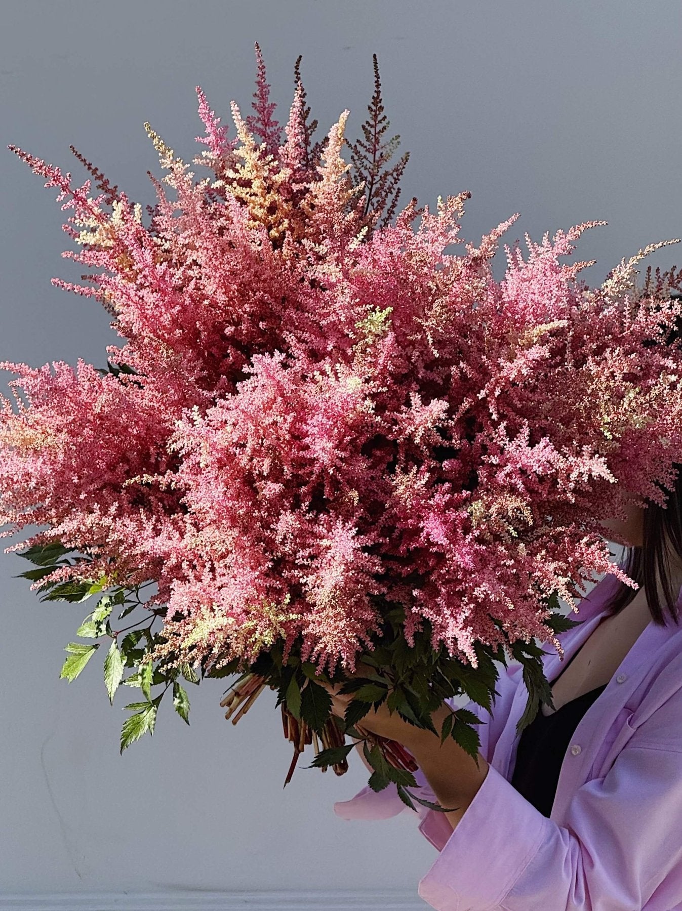 Astilbe - Bukieciarnia Mokotowska 41