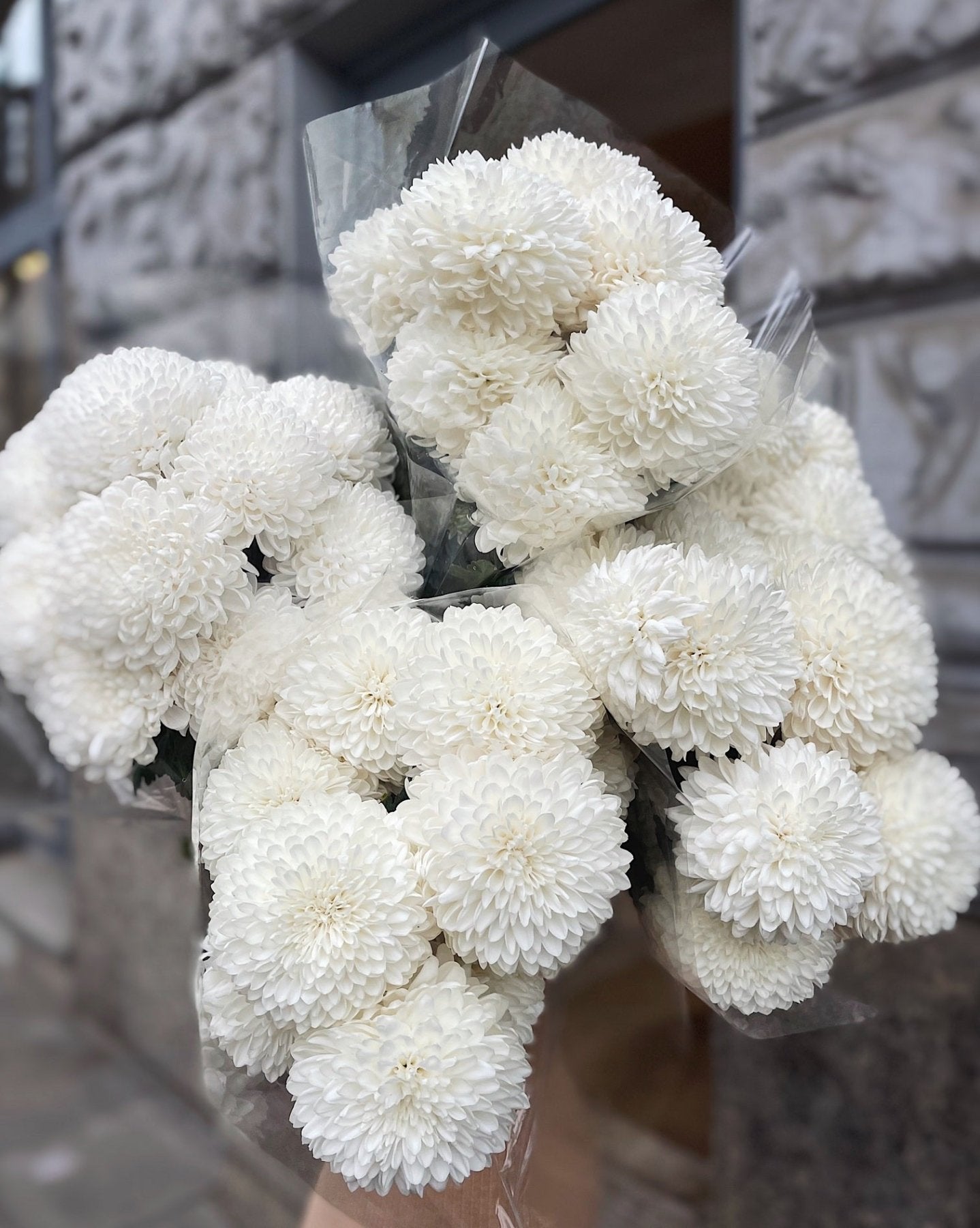 Chryzantema - Bukieciarnia Mokotowska 41