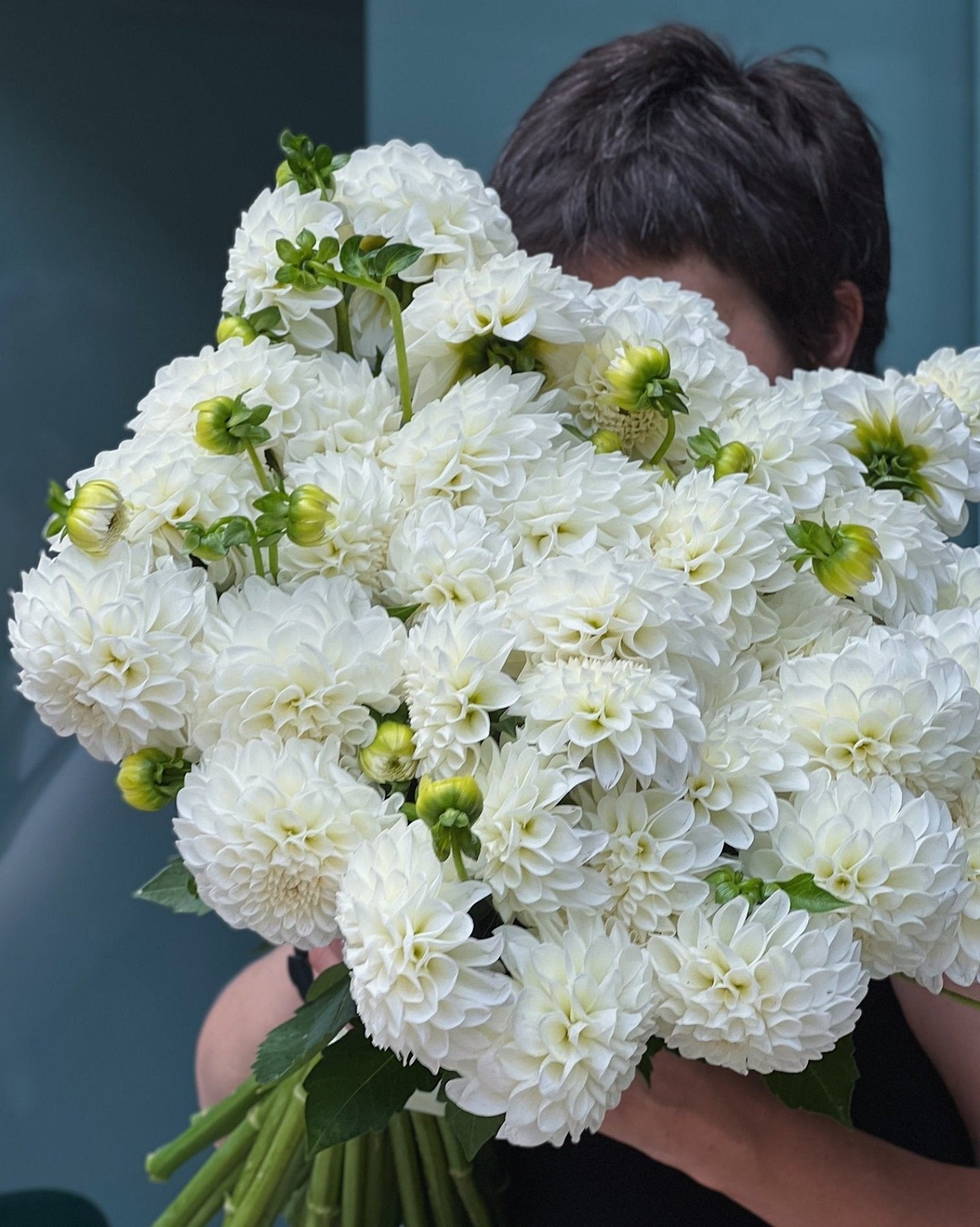Dalia - Bukieciarnia Mokotowska 41