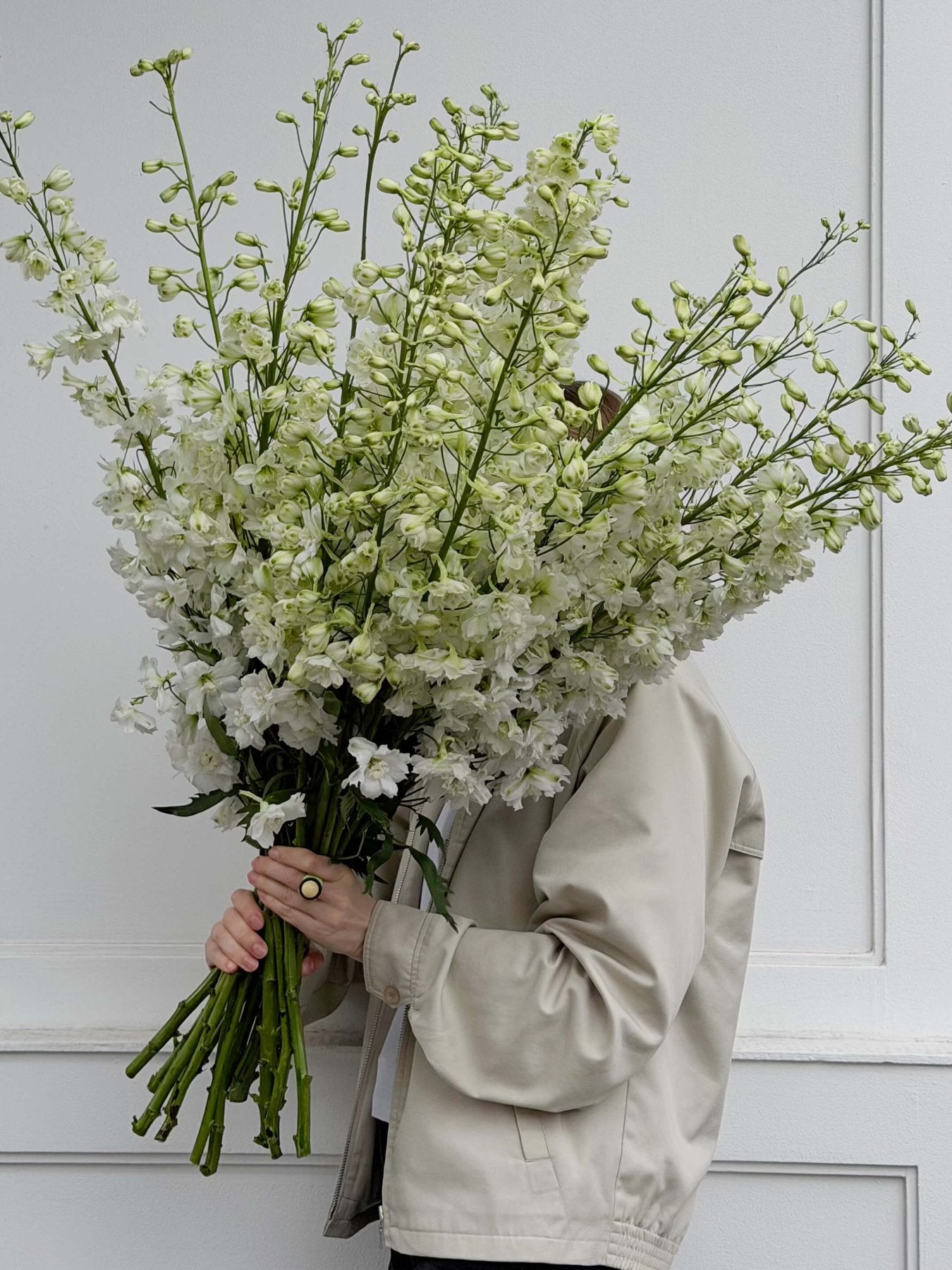 Delphinium białe - Bukieciarnia Mokotowska 41