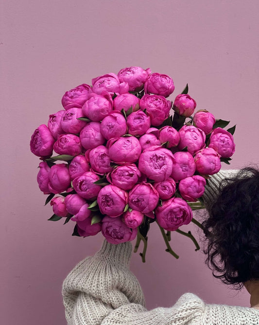 Fuchsia Fever - Bukieciarnia Mokotowska 41