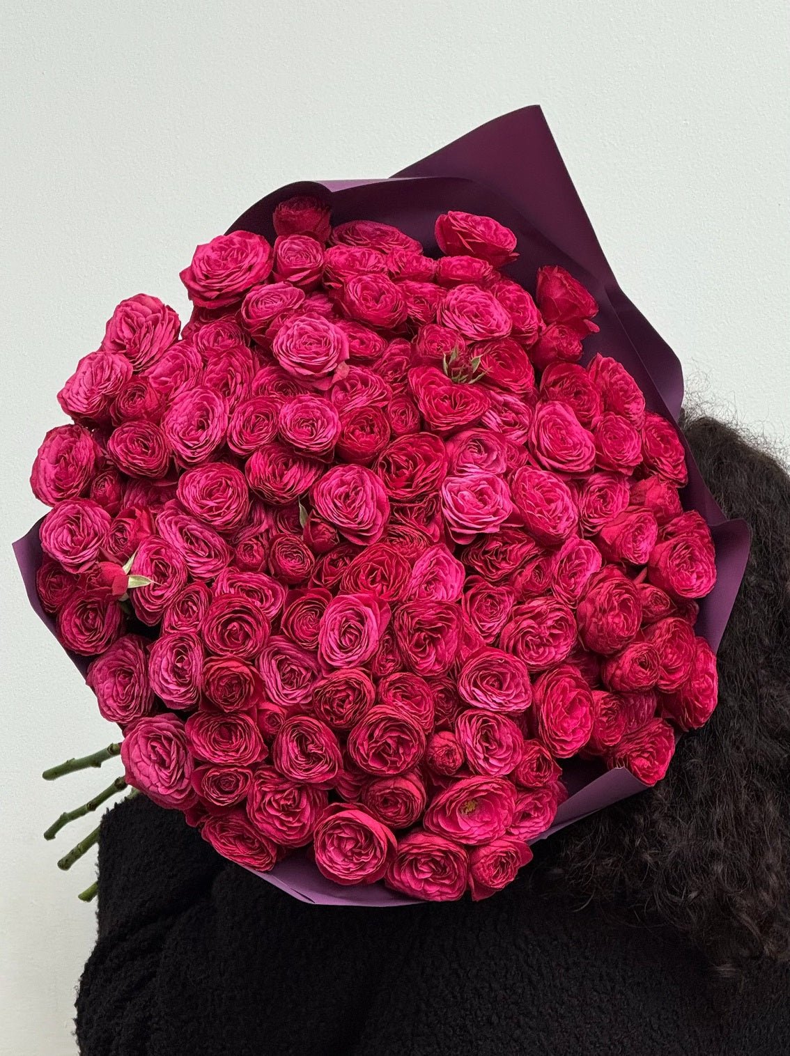 Fuchsia Memoir - Bukieciarnia Mokotowska 41