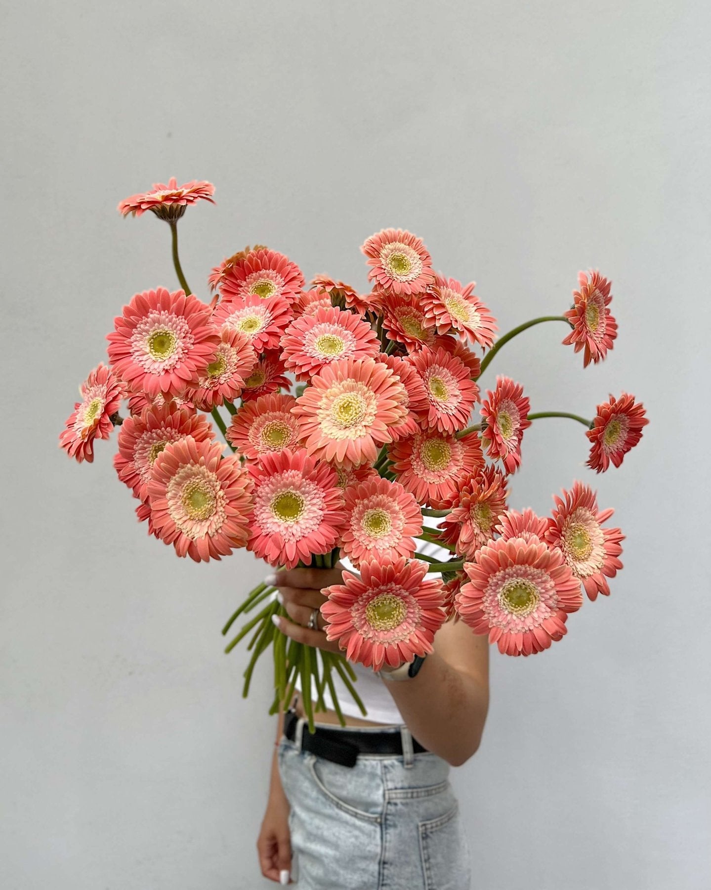Gerbera mini morela - Bukieciarnia Mokotowska 41