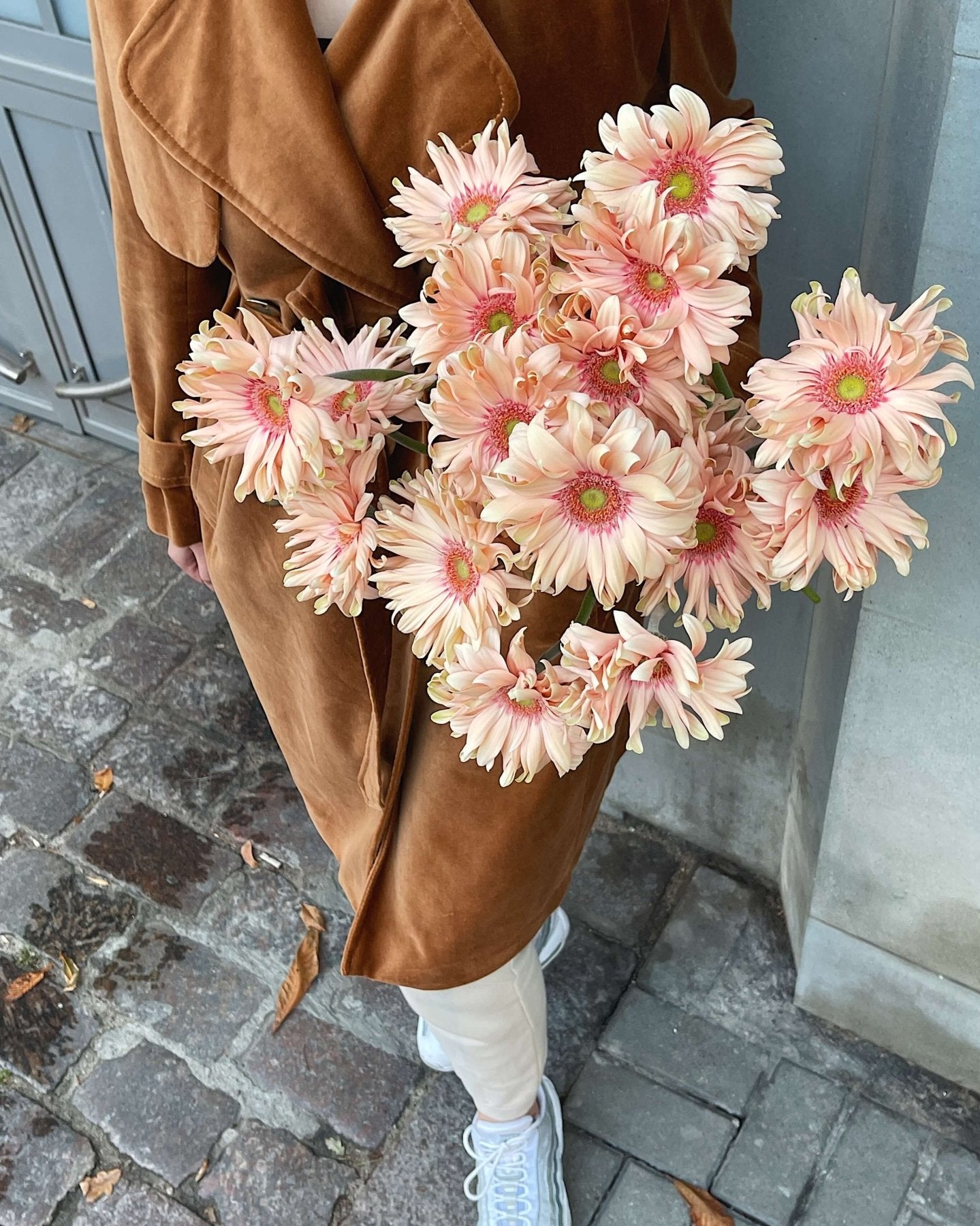 Gerbera morelowa - Bukieciarnia Mokotowska 41