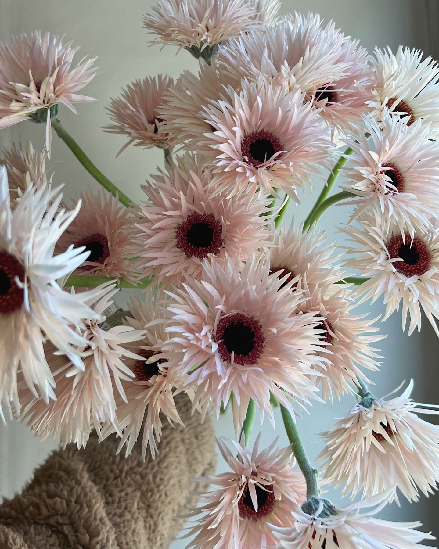 Gerbera Vinci - Bukieciarnia Mokotowska 41