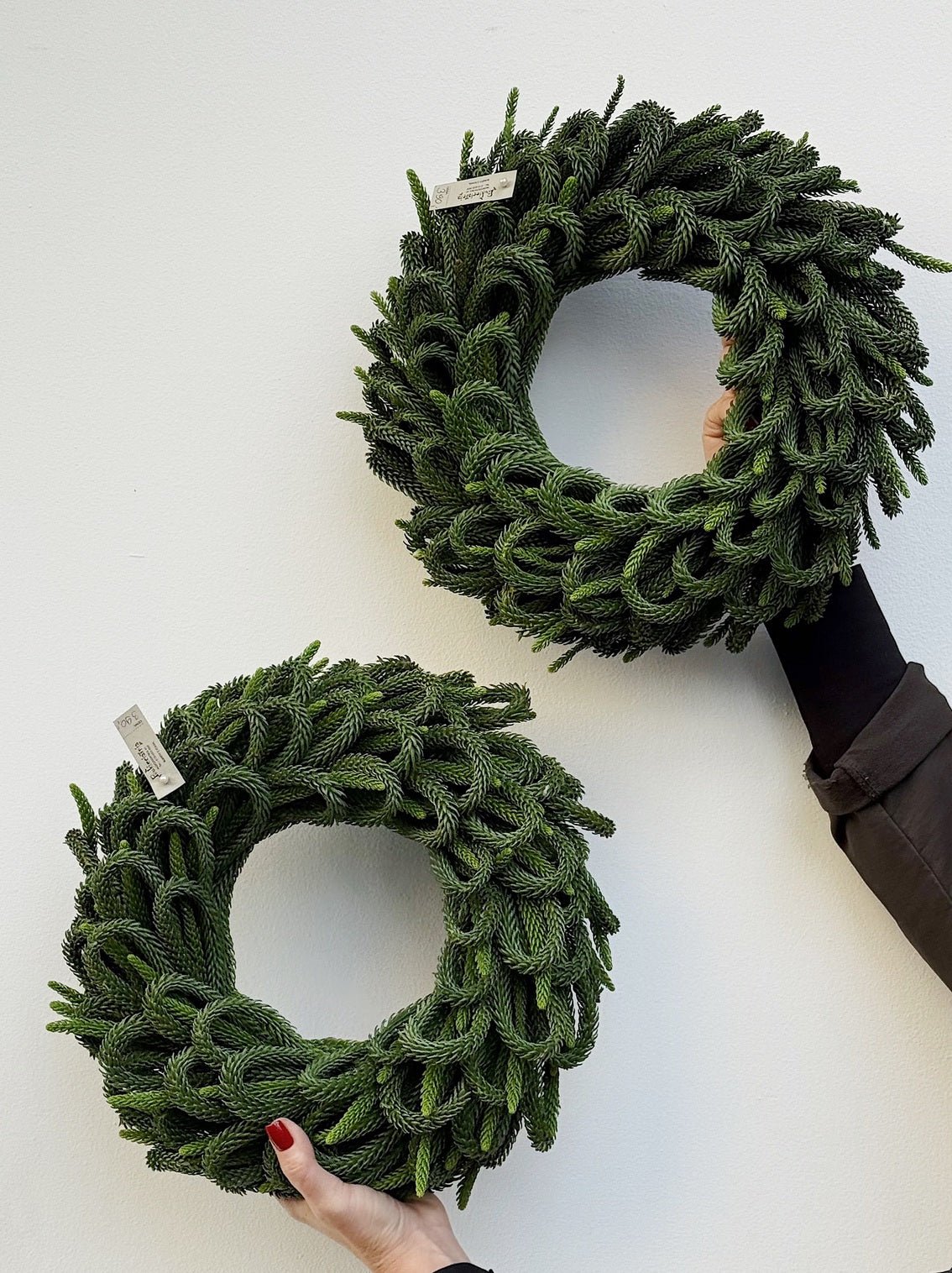 Nephrite Eternum - Bukieciarnia Mokotowska 41