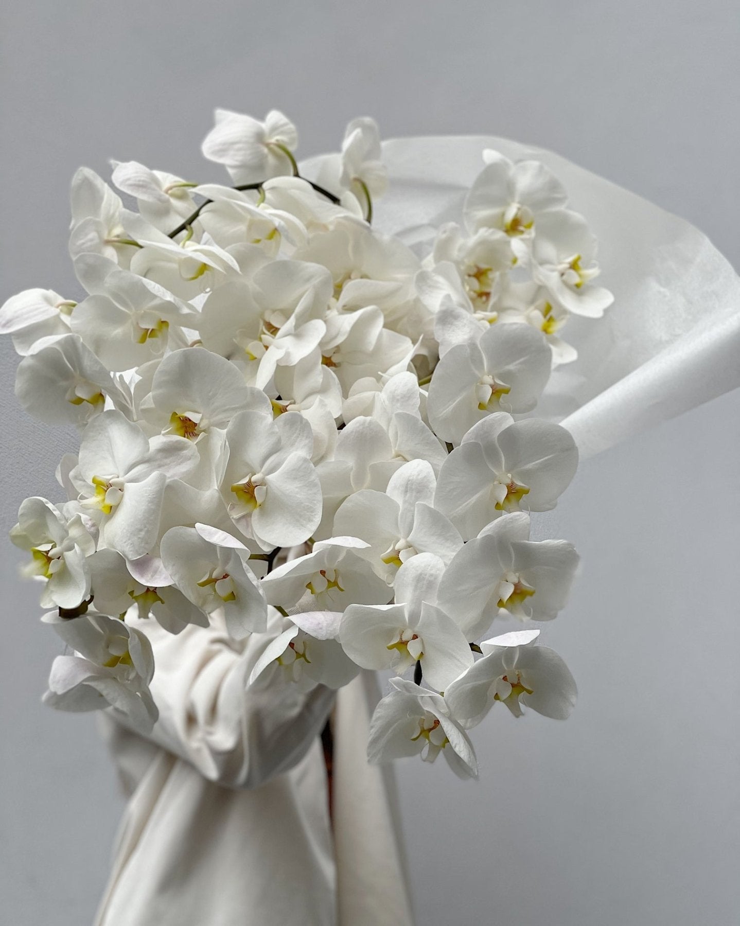 Orchidea - Bukieciarnia Mokotowska 41