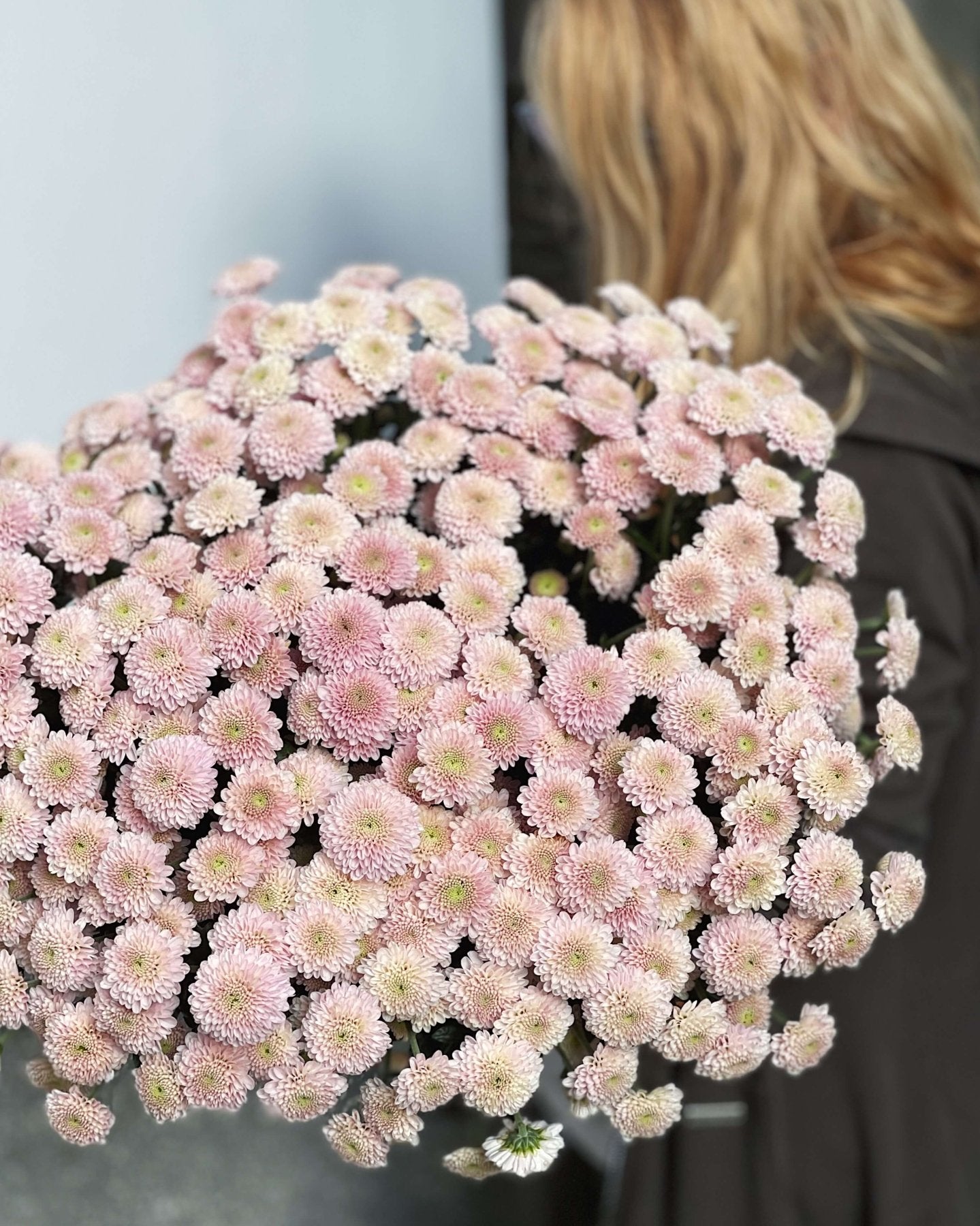 Whisper of Dawn - Bukieciarnia Mokotowska 41